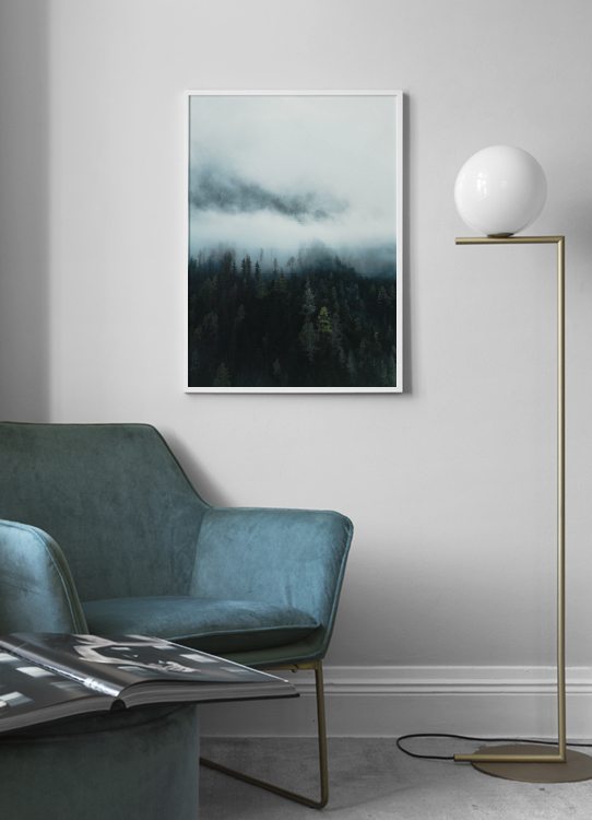 إطار ضباب في الغابة