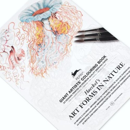 كتاب تلوين فني - أشكال فنية في الطبيعة