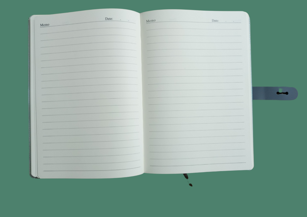 Dicai Notebook Leather cover B5 NO: 736-18