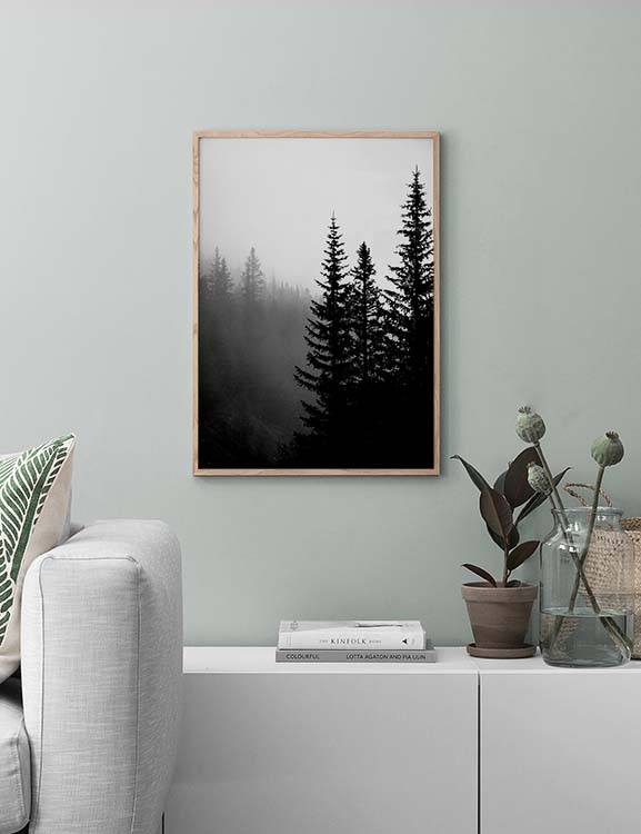 إطار قمة الشجرة