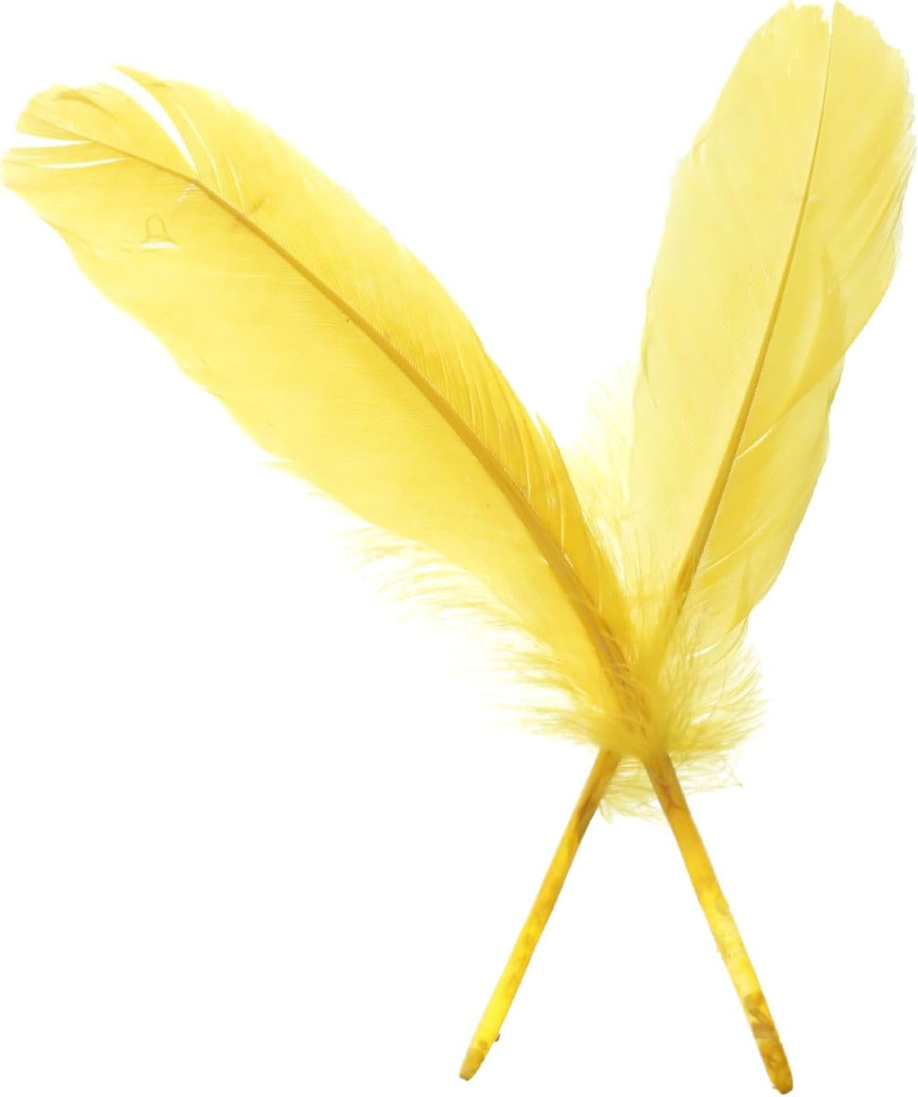 مجموعة من 8 قطع من الريش الملون