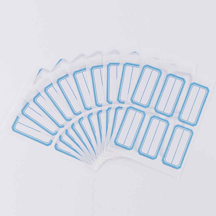 M&G Chenguang Self-Adhesive File Index Labels – Writable Classification Stickers, 6 Sheets (60 Labels) - No: YT-10
