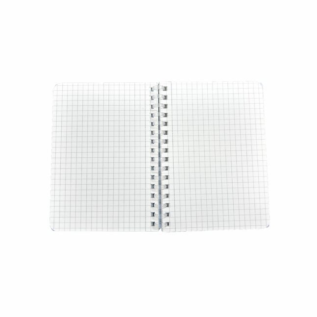 M&G Chenguang Spiral Notebook, A6 Compact 80-Page Small Squares Journal for Notes - 1pcs - No:APNDD011