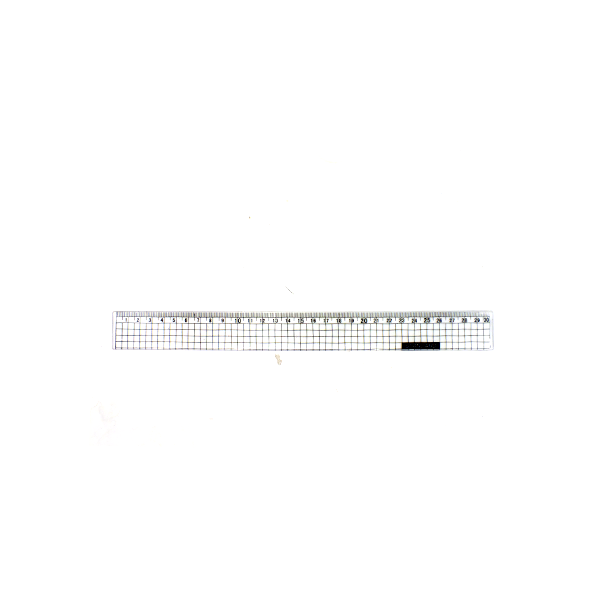 Plastic ruler 30cm