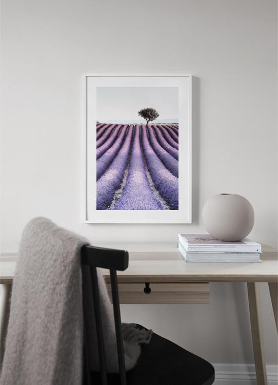 إطار بروفانس 