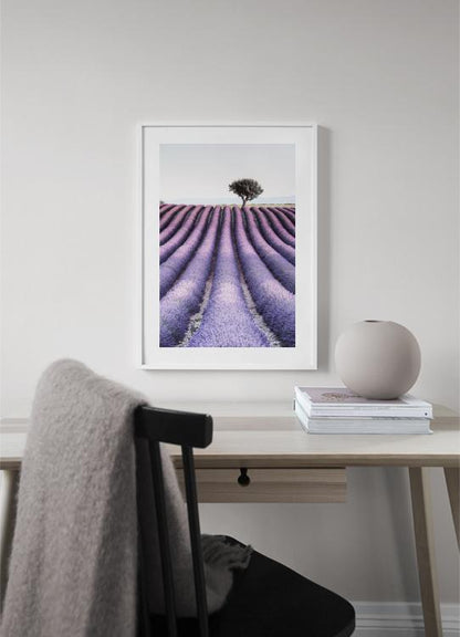 إطار بروفانس 