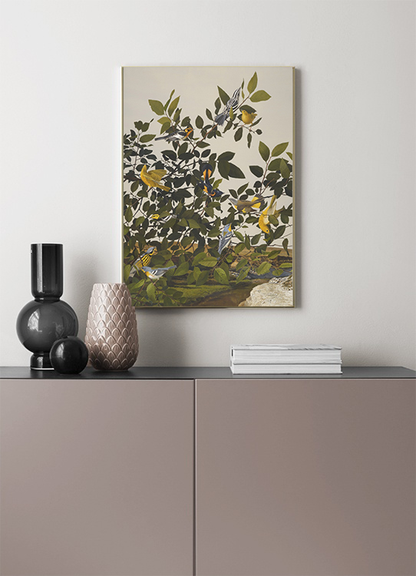 إطار الطيور على الشجيرات 