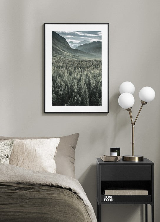 إطار غابة جبال روكي 