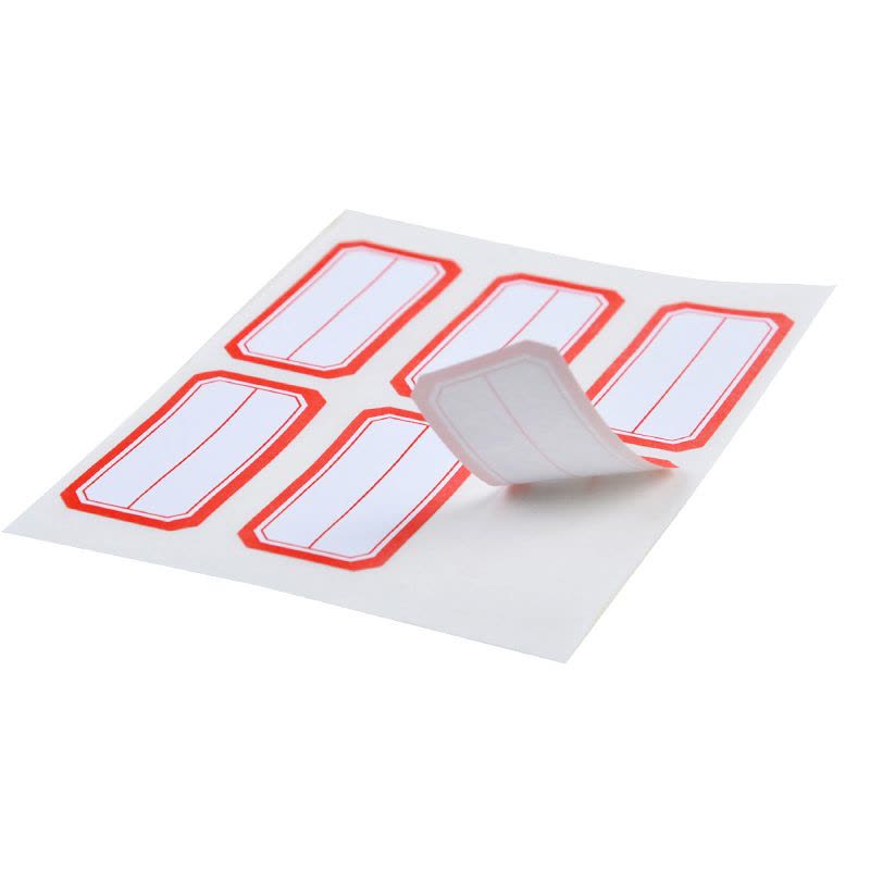 M&G Chenguang Self-Adhesive File Index Labels – Writable Classification Stickers, 6 Sheets (60 Labels) - No: YT-09