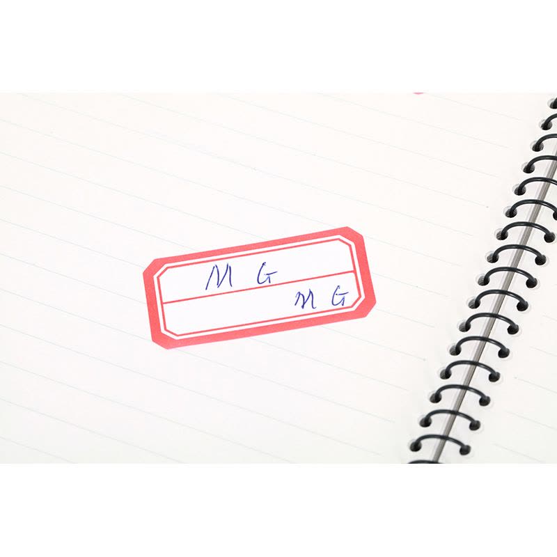 M&G Chenguang Self-Adhesive File Index Labels – Writable Classification Stickers, 6 Sheets (60 Labels) - No: YT-09
