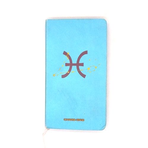 Coloured Small Notebook