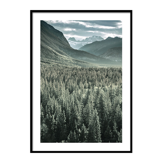 Rocky Mountains Forest Frame