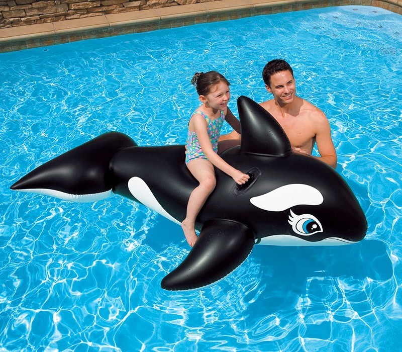 Jilong Large Inflatable Jumbo Whale Rider Ride On 190cm*92cm - No:37213
