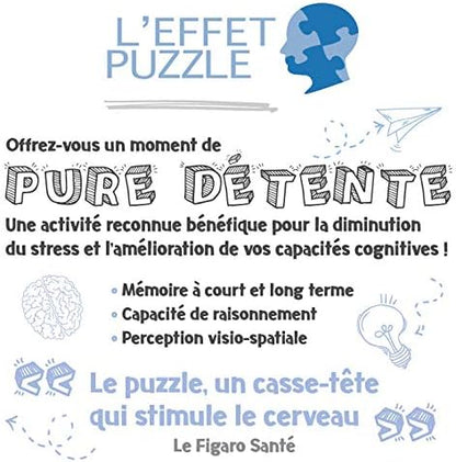 Ravensburger Circle of colors-Flowers Puzzle - 500pcs - No:17167