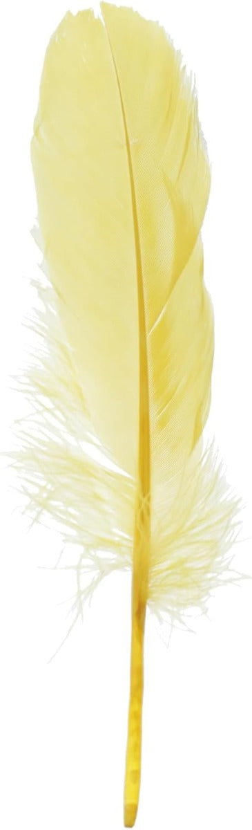 مجموعة من 8 قطع من الريش الملون 