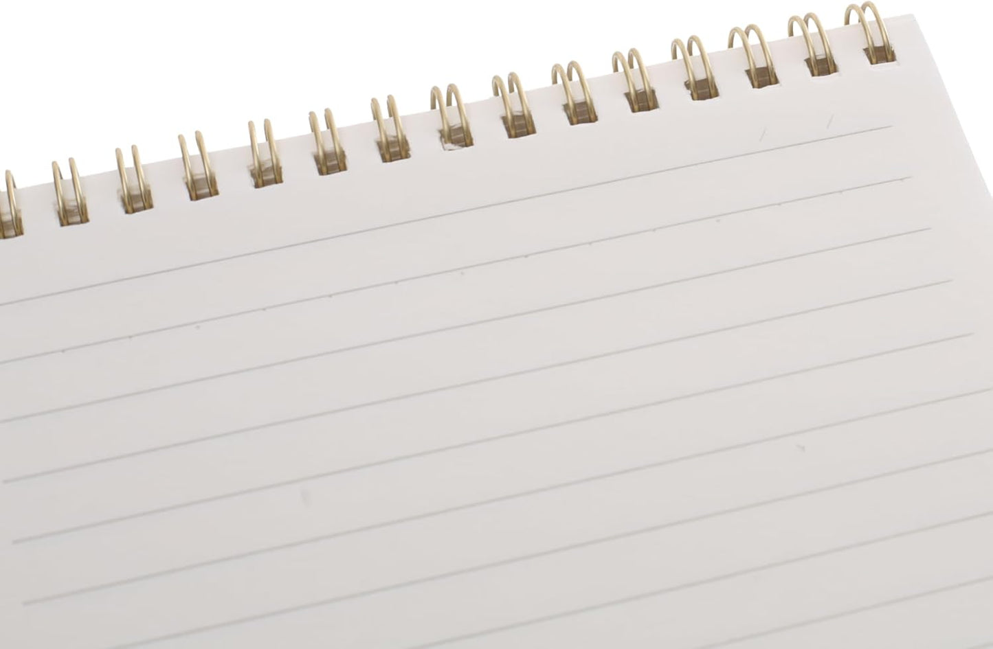 M&G Chenguang So Many Cats Spiral Notebook, Fun Note-Taking, A5 Single Ruled - 60 sheets - No:APNDC009