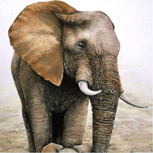 مجموعة ألوان باستيل ناعمة مربعة من كوهينور تواسون دور، 24 لونًا - رقم: 8584