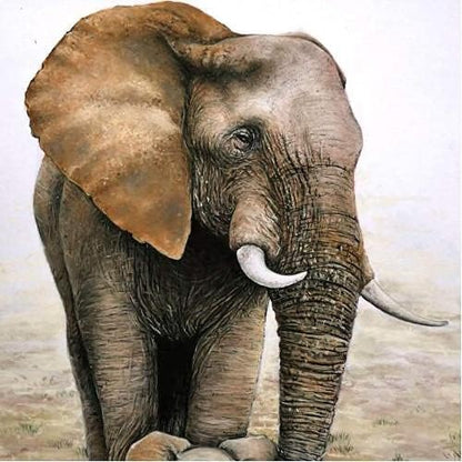 مجموعة ألوان باستيل ناعمة مربعة من كوهينور تواسون دور، 24 لونًا - رقم: 8584