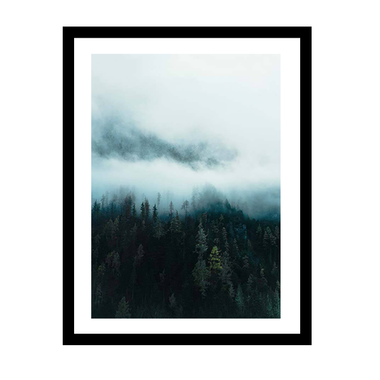 Fog in the Woods Frame