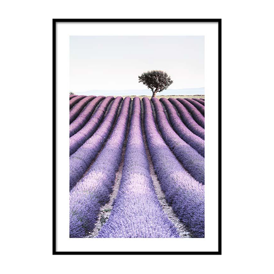 Provence Frame