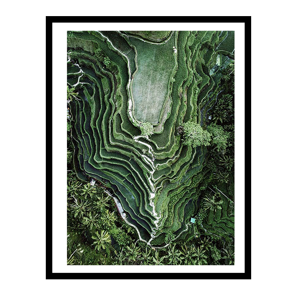 إطار مدرجات الأرز 