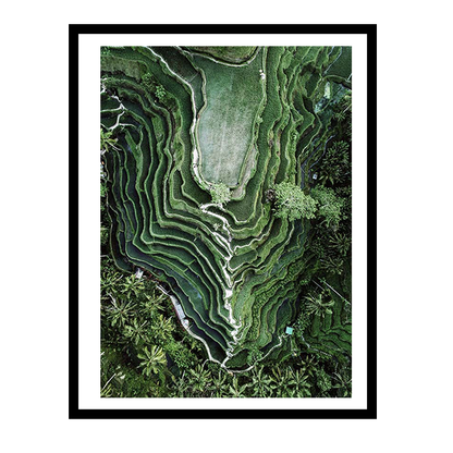 إطار مدرجات الأرز 