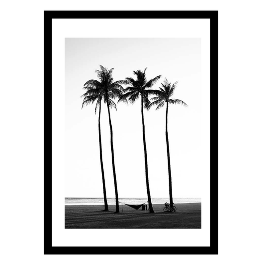 إطار أشجار النخيل على الشاطئ 