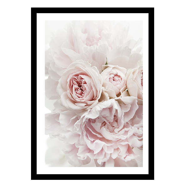 إطار من الفاوانيا والورود 