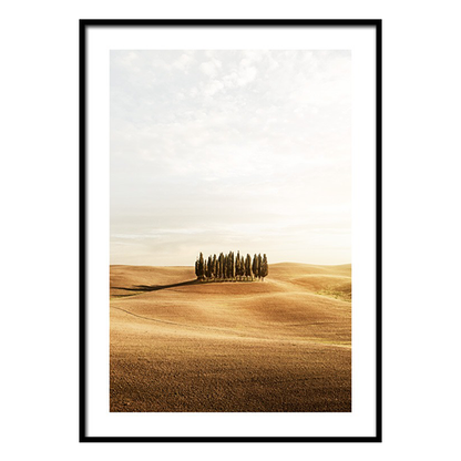 إطار أشجار توسكانا 