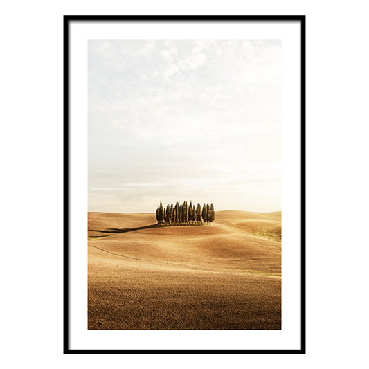 إطار أشجار توسكانا 