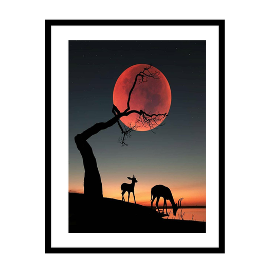 Deer Watching Sunset Frame