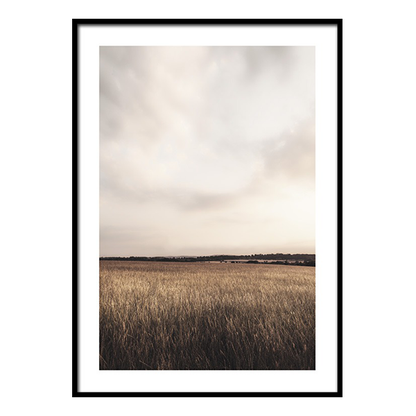 إطار الحقل الهادئ 