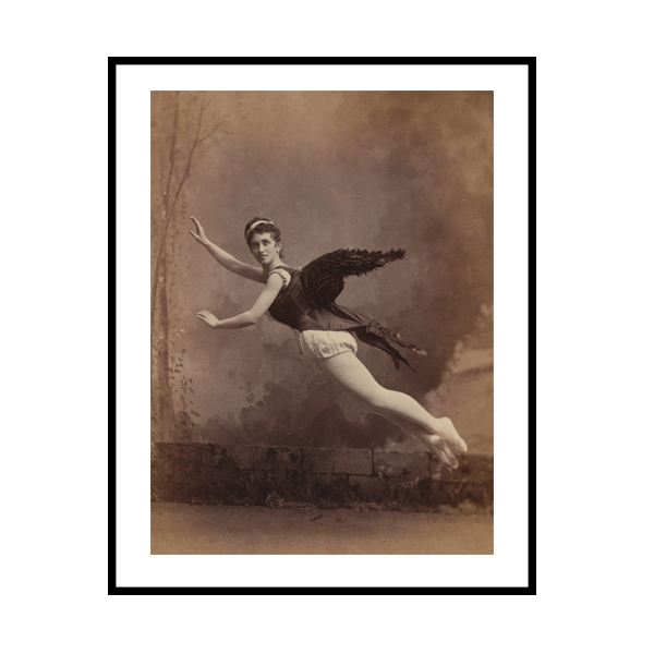 هيكل الرجل الطائر 