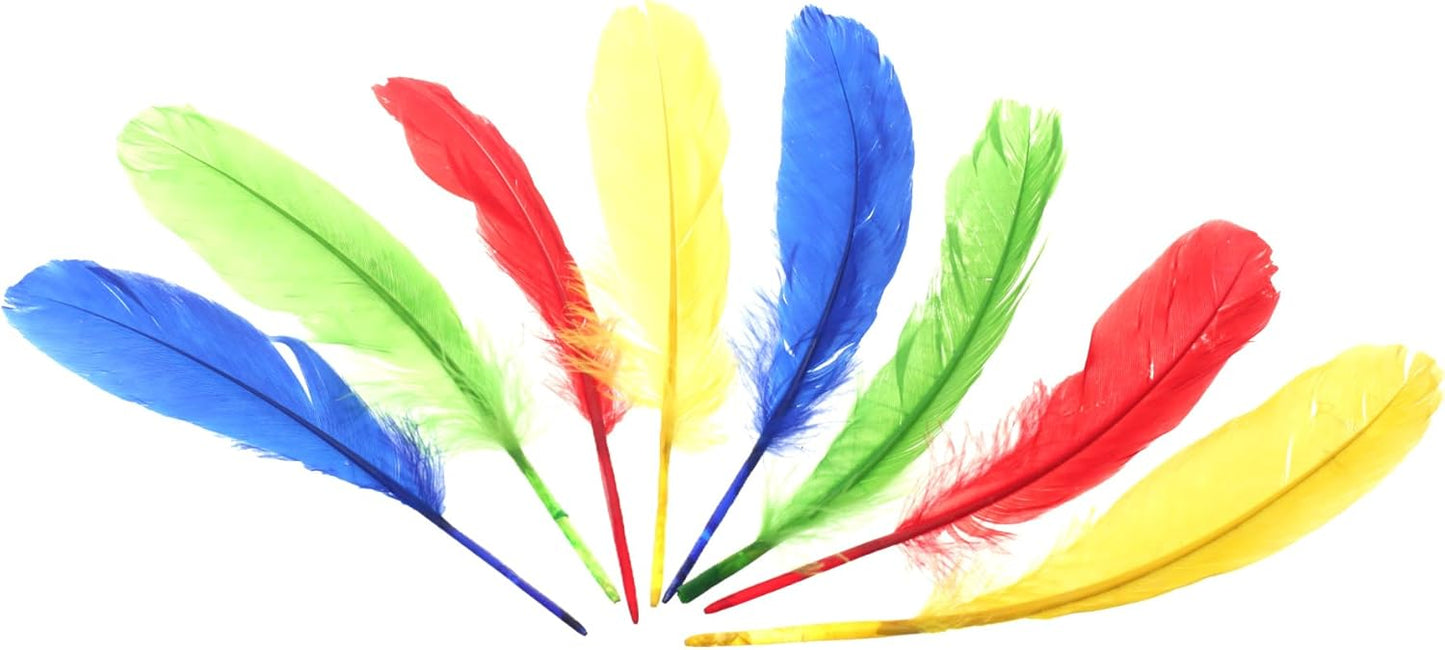 مجموعة من 8 قطع من الريش الملون 