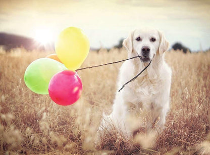 أحجية حفلة بالونات رافينسبورغر - 500 قطعة - رقم: 16585