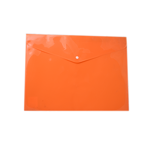 Plastic Envelope A3