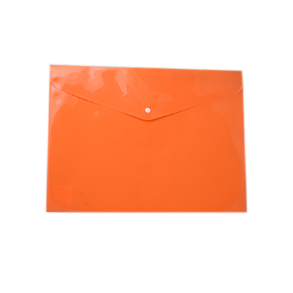 Plastic Envelope A3