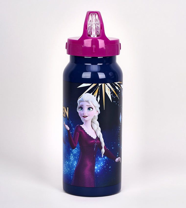 زجاجة مياه سيمبا فروزن جلوري المصنوعة من الفولاذ المقاوم للصدأ سعة 500 مل - رقم: 234803