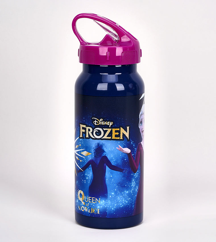 زجاجة مياه سيمبا فروزن جلوري المصنوعة من الفولاذ المقاوم للصدأ سعة 500 مل - رقم: 234803