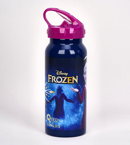 زجاجة مياه سيمبا فروزن جلوري المصنوعة من الفولاذ المقاوم للصدأ سعة 500 مل - رقم: 234803