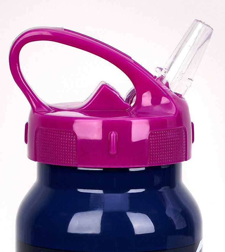 زجاجة مياه سيمبا فروزن جلوري المصنوعة من الفولاذ المقاوم للصدأ سعة 500 مل - رقم: 234803