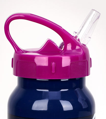 زجاجة مياه سيمبا فروزن جلوري المصنوعة من الفولاذ المقاوم للصدأ سعة 500 مل - رقم: 234803