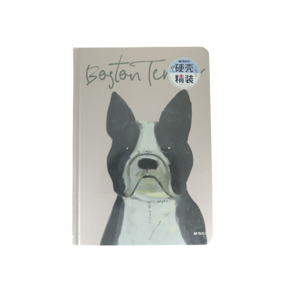 دفتر ملاحظات من إم آند جي، 12.5 × 18 سم، 112 صفحة، رقم MPY73Y47