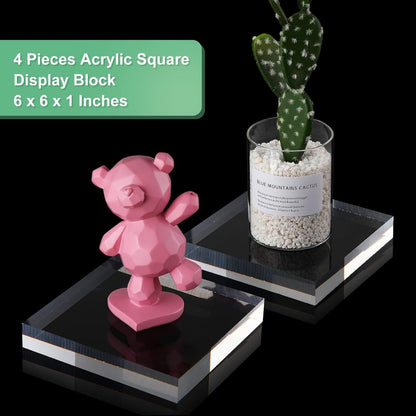 Acrylic Square Display