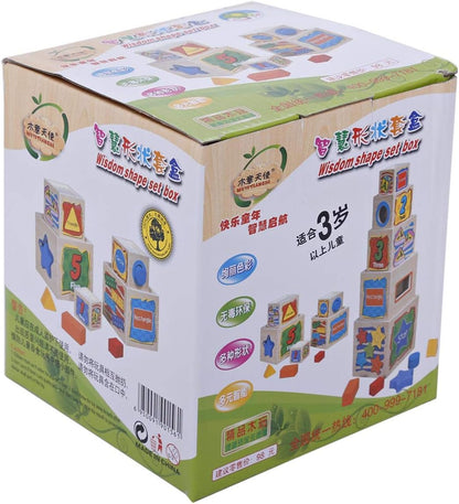 Wooden Wisdom Shape Set Box - Jigsaws and Puzzles