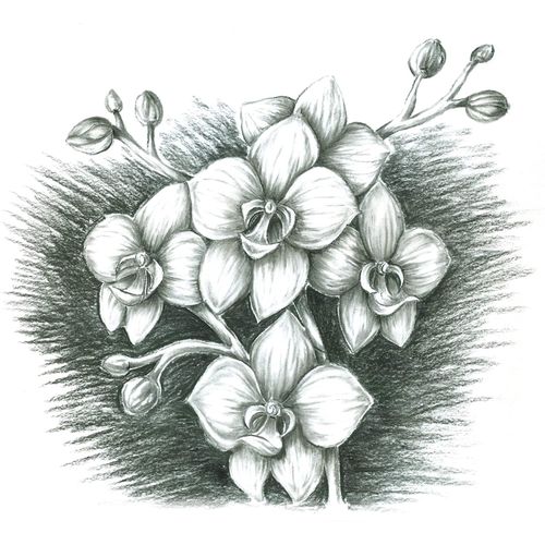 أقلام فحم ستيدلر مارس لوموغراف - عبوة من 3 أقلام + 1 أداة مزج 