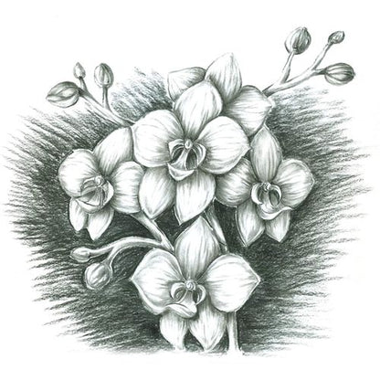 أقلام فحم ستيدلر مارس لوموغراف - عبوة من 3 أقلام + 1 أداة مزج 