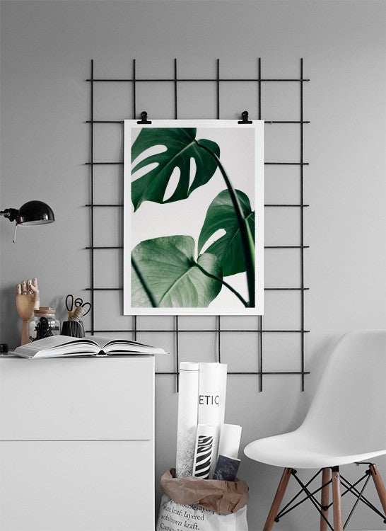 إطار مونستيرا 