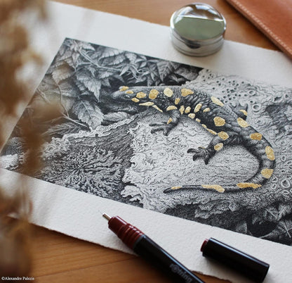 قلم رسم فني ROtring Isograph، 0.25 مم - أداة دقيقة مزودة بخزان حبر قابل لإعادة التعبئة