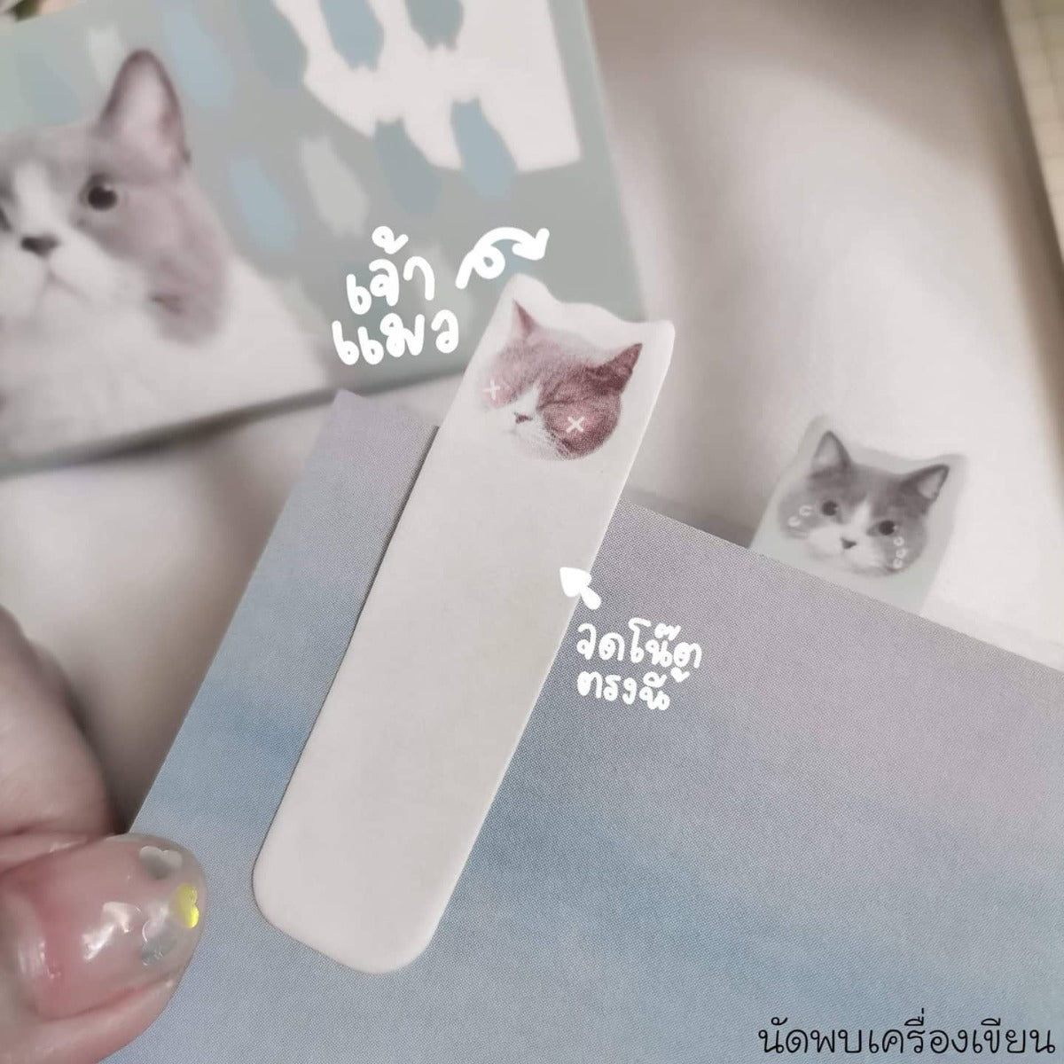 M&G Cats flags stickynotes - YS-356